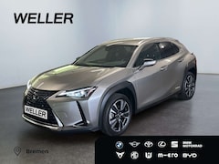 Bild des Angebotes Lexus UX 250h Style Edition Bi-LED*ACC*CAM*SHZ*CarPlay