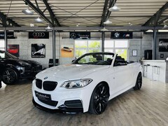 Bild des Angebotes BMW 235 i Cabrio xDrive*M.PERF.ABGAS*NAVI*