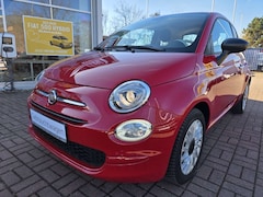 Bild des Angebotes Fiat 500 MY23 1.0 Summer Edition