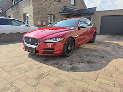 Bild des Angebotes Jaguar XE E-Performance Aut. Portfolio
