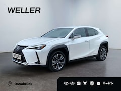 Bild des Angebotes Lexus UX 300e *Luxury*Komfort-Plus*Executive Paket*