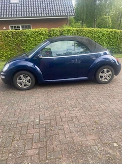VW Beetle