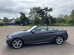 Bild des Angebotes BMW 220 220i Cabrio Aut. M Sport