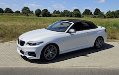Bild des Angebotes BMW 240 M240i Cabrio / sDrive / HJS / kein OPF