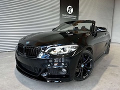 Bild des Angebotes BMW 230 i Cabrio xDrive/CARPLAY/ADAP.LED/H&K