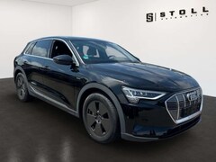 Bild des Angebotes Audi e-tron basis 50 quattro MMI+Navi+LED+DAB+Sitzhzg