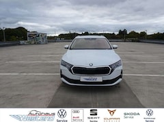 Bild des Angebotes Skoda Octavia Combi Selection 1.5l TSI MHEV 110kW DSG Pano LED N