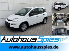 Bild des Angebotes Fiat Panda 1.0 Mild Hybrid  Base Klima DAB