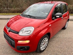 Bild des Angebotes Fiat Panda Easy CiTY 1,2 8V 1.Hand KLIMA 60 TKM