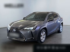 Bild des Angebotes Lexus UX 250h Style+ Edition *Bi-LED*ACC*CAM*CarPlay*