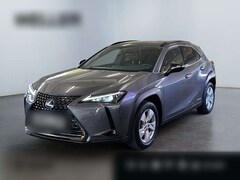 Bild des Angebotes Lexus UX 250h Style+ Edition *Bi-LED*ACC*CAM*CarPlay*