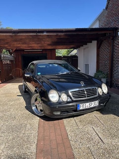 Bild des Angebotes Mercedes-Benz CLK 430 Advangarde