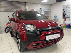 Bild des Angebotes Fiat Panda Red