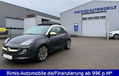Bild des Angebotes Opel Adam Jam Open Air Faltdach Leder Lhz Shz PDC BT