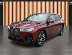 Bild des Angebotes BMW iX 40 xDrive Sport*Skylounge*KeyGo*HeaUp