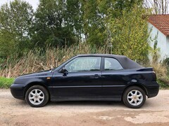 Bild des Angebotes VW Golf Cabriolet Golf Cabrio 1.6 Highline