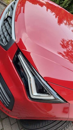 Bild des Angebotes SEAT Ateca Ateca 1.5 TSI ACT DSG OPF FR