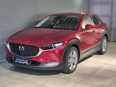 Bild des Angebotes Mazda CX-30 Selection X-180/AWD/MT/Navi/Head-Up/Bose