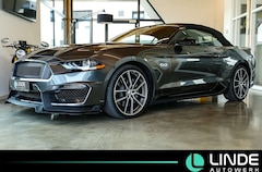Bild des Angebotes Ford Mustang Cabrio 5.0 V8 GT Shelby Fifty Five Years