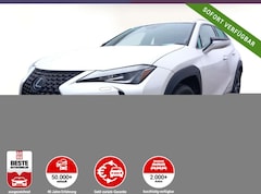 Bild des Angebotes Lexus UX 250h 250h Launch Edition LED Nav ParkAs KeyL SHZ