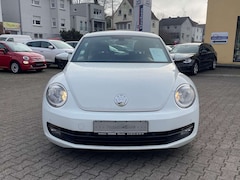 Bild des Angebotes VW Beetle Basis
