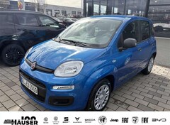 Bild des Angebotes Fiat Panda ICON Hybrid 1.0 GSE KLIMA PDC TEMPOMAT