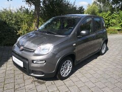 Bild des Angebotes Fiat Panda 1.0 Hybrid (70PS) inkl. 7"-Radio, Handyspiegelung