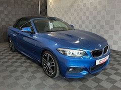 Bild des Angebotes BMW 225 d Cabrio Steptr. *M SPORT* PA-PDC-LEDER-LED