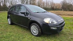 Bild des Angebotes Fiat Punto Active,Klima,City Servo ,TÜV,ZV ,Evo,TOP