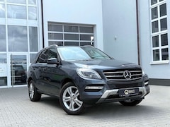 Bild des Angebotes Mercedes-Benz ML 250 CDI *AHK*KAME*STANDH*DISTR+*