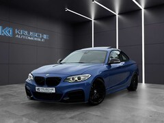 Bild des Angebotes BMW 235 *SHZ*GSD*Perfor.Auspuff*PearlCarbon*Wagner