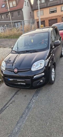 Bild des Angebotes Fiat Panda 1.2 Pop 69cv