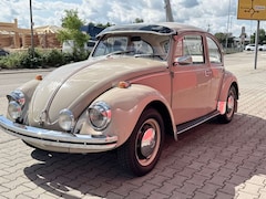 Bild des Angebotes VW Käfer Käfer, Originalzustand, 77.500 km