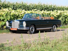 Bild des Angebotes Mercedes-Benz 250 SE 5.0-V8 Cabriolet