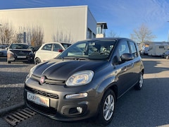 Bild des Angebotes Fiat Panda *1.Hand*Automatik*ALU*KLIMA*EURO6*5Türig*