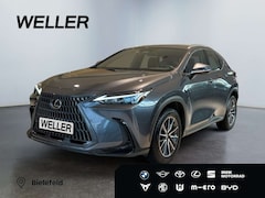 Bild des Angebotes Lexus NX 350h *Bi-LED*ACC*CAM*Navi*CarPlay*Soundsystem*