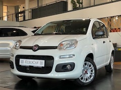 Bild des Angebotes Fiat Panda 1.2 8V Easy CityPaket+ Connect Sitzhzg DAB