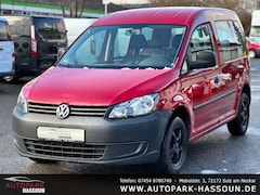 Bild des Angebotes VW Caddy Kasten Roncalli Startline 5-Sitz. 8-Fach