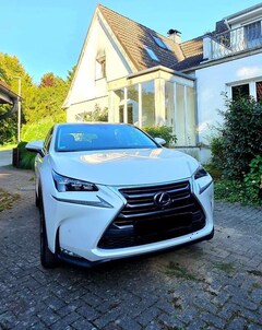 Bild des Angebotes Lexus NX 300h E-FOUR Luxury Line
