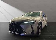 Bild des Angebotes Lexus UX 250h 250h*STYLE*1HD*CARPLAY*PDC 15J-GARANTIE