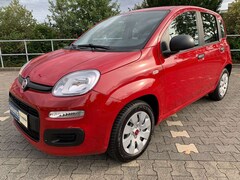 Bild des Angebotes Fiat Panda Panda/Pandina 1.2 Lounge