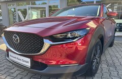 Bild des Angebotes Mazda CX-30 SKYACTIV-G 2.0 150PS M Hybrid