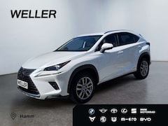 Bild des Angebotes Lexus NX 300h E-FOUR Business Line *LED*ACC*Navi*CAM*SHZ*