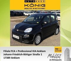 Bild des Angebotes Fiat Panda MY24 1.0 Klima PDC Citypaket