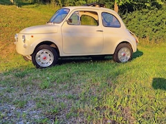 Fiat 500 Typ 110 F /  500L