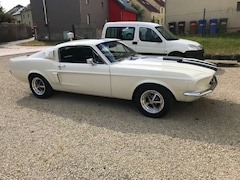 Bild des Angebotes Ford Mustang Shelby