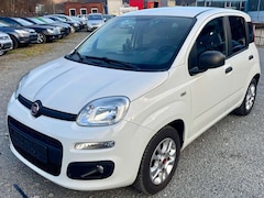 Bild des Angebotes Fiat Panda More*1.Hand*Klima*Servo*PDC*