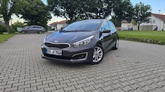 Bild des Angebotes Kia Ceed / cee'd 1.6 GDI Dream Team Edition