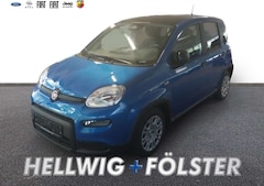 Bild des Angebotes Fiat Panda City Paket DAB Spurhalteass. Verkehrszeichenerk. N