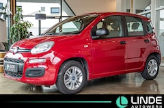 Bild des Angebotes Fiat Panda Pop|KLIMA|RADIO|EL.FENSTER|ISOFIX|14-ALU